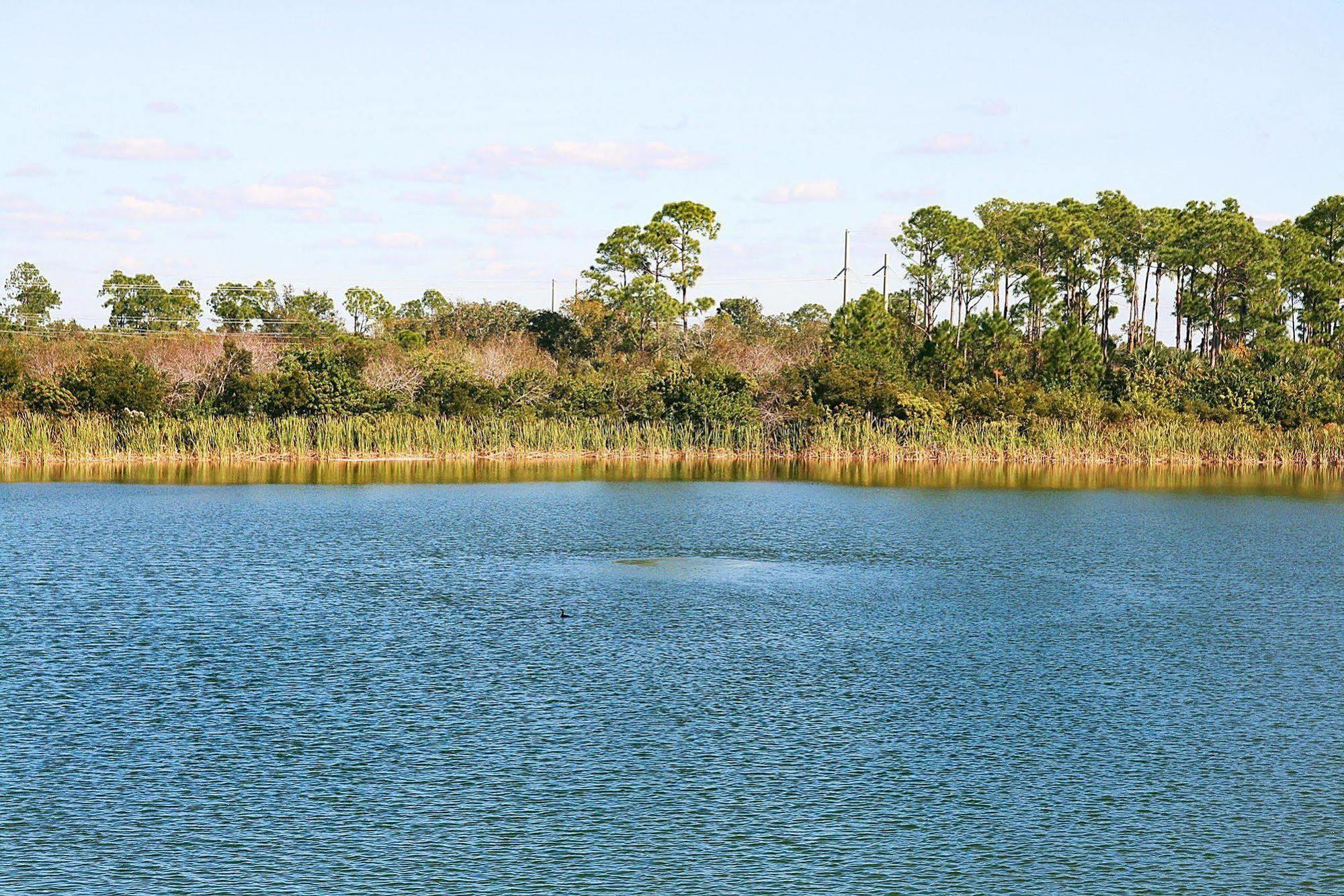 Hampton Inn Port Charlotte Esterno foto